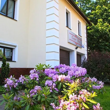 Comfort-house *